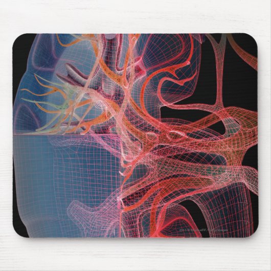 Tapis De Souris Wireframe de l'intérieur d'un rein (Devant)