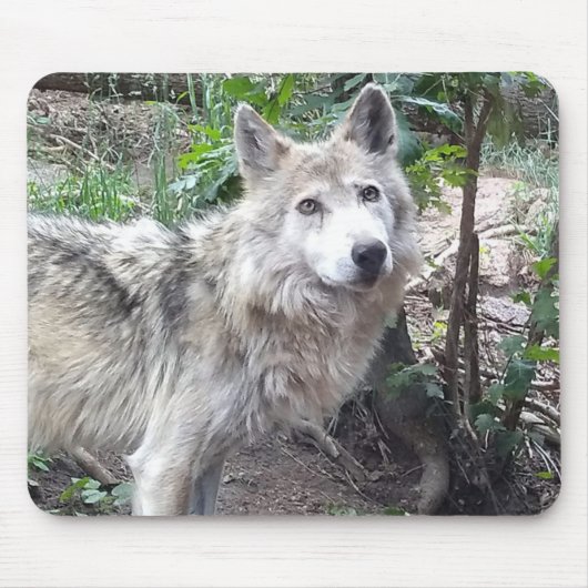 Tapis De Souris Wolf Mousepad (Devant)