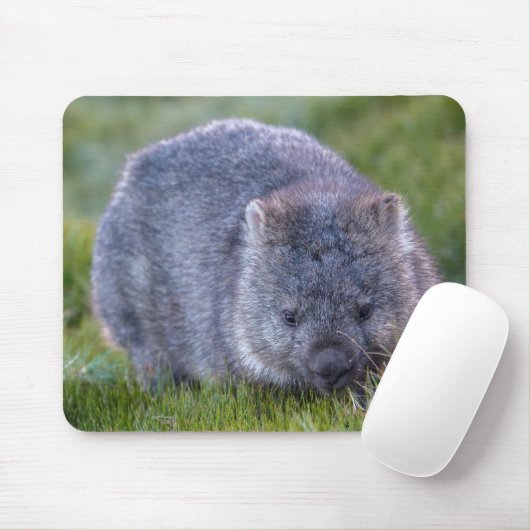 Tapis De Souris Wombat (Avec souris)