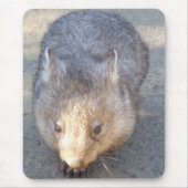 Tapis De Souris Wombat Mousepad (Devant)