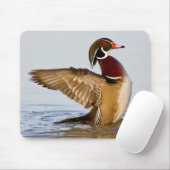 Tapis De Souris Wood Duck mal flapping wings in wetland (Avec souris)