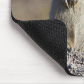 Tapis De Souris Wyoming, comté de Sublette, Prairie à queue blanch (Coin)