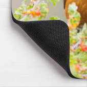 Tapis De Souris Wyoming, Comté De Sublette, Un Robin Américain (Coin)