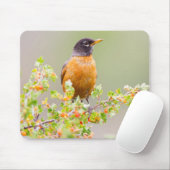 Tapis De Souris Wyoming, Comté De Sublette, Un Robin Américain (Avec souris)