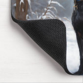 Tapis De Souris Xoloitzcuintli Laisser neiger Noël (Coin)