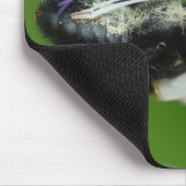 Tapis De Souris Xylocopa iris (Coin)