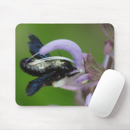 Tapis De Souris Xylocopa iris (Avec souris)
