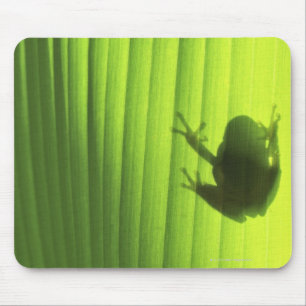Tapis De Souris Yachiyo, Préfecture de Chiba, Japon 2