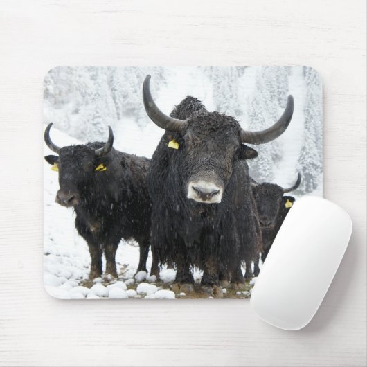 Tapis De Souris Yak (Avec souris)