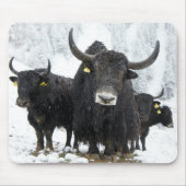Tapis De Souris Yak (Devant)