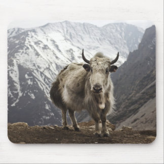 Tapis De Souris Yaks au Népal