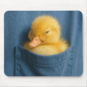 Tapis De Souris Yellow Duckling In a T-shirt Pocket (Devant)