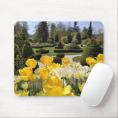 Tapis De Souris Yellow Tulips from Arboretum Volcji Potok Slovenia (Avec souris)