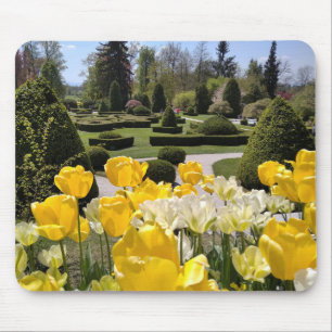 Tapis De Souris Yellow Tulips from Arboretum Volcji Potok Slovenia