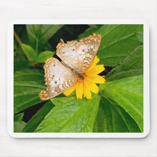 Tapis De Souris yellow white butterfly moth (Devant)