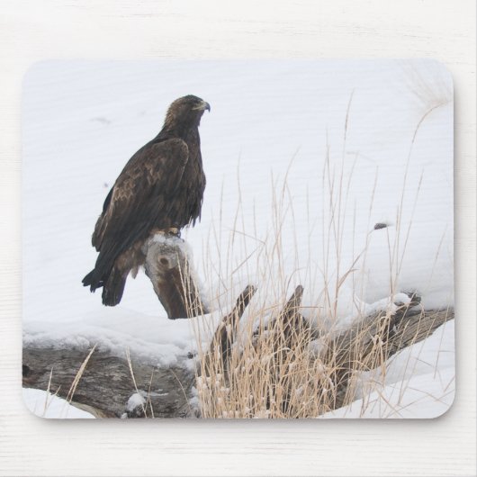 Tapis De Souris Yellowstone Eagle d'or (Devant)