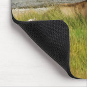 Tapis De Souris Yellowstone Mates Mousepad (Coin)