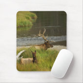 Tapis De Souris Yellowstone Mates Mousepad (Avec souris)