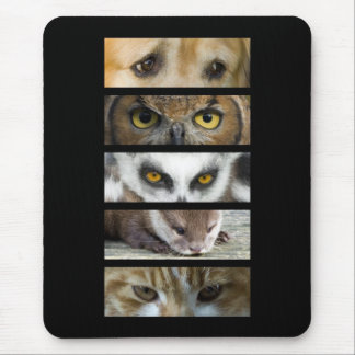 Tapis de souris - yeux d'animaux