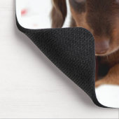Tapis De Souris Yeux de chiot (Coin)