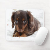 Tapis De Souris Yeux de chiot (Avec souris)