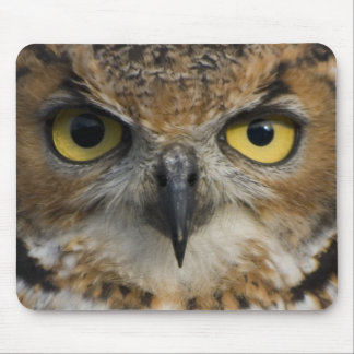 Tapis De Souris Yeux de hibou
