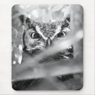 Tapis De Souris Yeux de la forêt (Grand-duc d'Amérique)