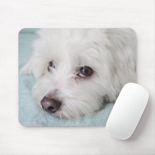 Tapis De Souris Yeux de Tulear Puppy de coton (Avec souris)
