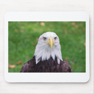 Tapis De Souris Yeux d'un aigle chauve