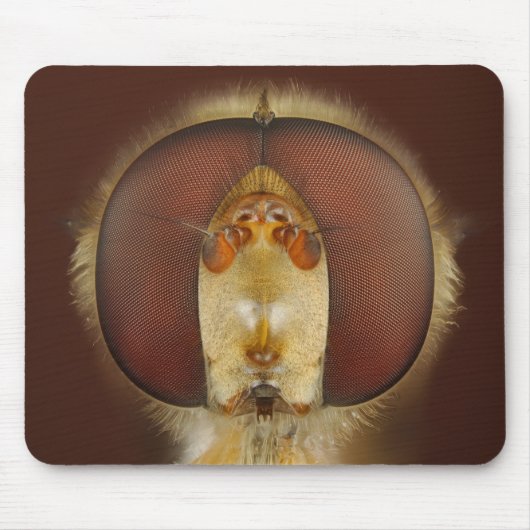 Tapis De Souris Yeux principaux et composés d'une mouche de vol (Devant)