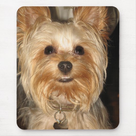 Tapis De Souris yorkie (Devant)