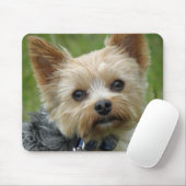 Tapis De Souris Yorkie (Avec souris)