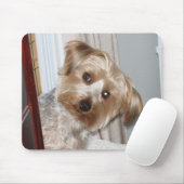 Tapis De Souris Yorkie à l'angle (Avec souris)