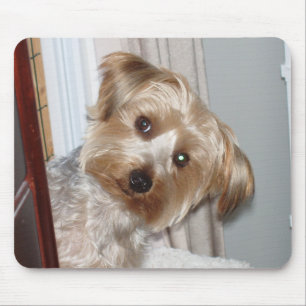 Tapis De Souris Yorkie à l'angle