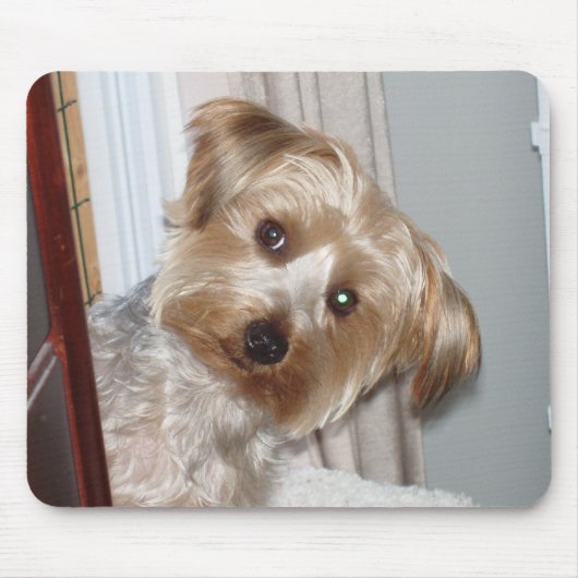 Tapis De Souris Yorkie à l'angle (Devant)
