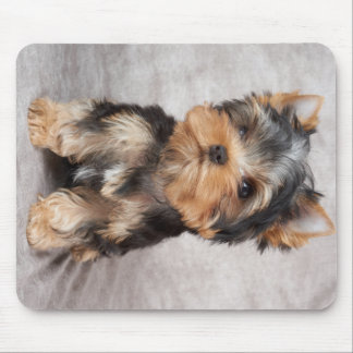 Tapis De Souris Yorkie merveilleux