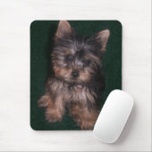 Tapis De Souris Yorkie Mousepad (Avec souris)