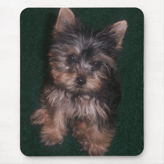 Tapis De Souris Yorkie Mousepad (Devant)