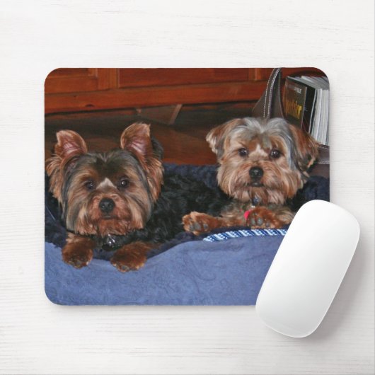 Tapis De Souris Yorkies - copains (Avec souris)