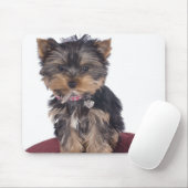 Tapis De Souris Yorkshire (Avec souris)