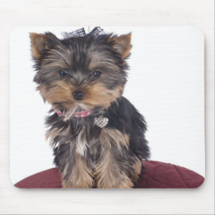 Tapis De Souris Yorkshire