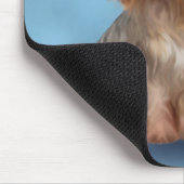 Tapis De Souris Yorkshire Terrier (Coin)