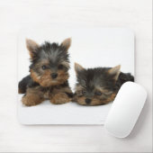 Tapis De Souris Yorkshire Terrier (Avec souris)