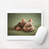 Tapis De Souris Yorkshire Terrier (Avec souris)