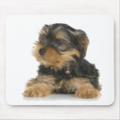 Tapis De Souris Yorkshire Terrier Mousepad (Devant)