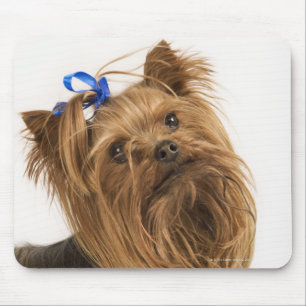Tapis De Souris Yorkshire Terrier/Yorkie. Race animée de