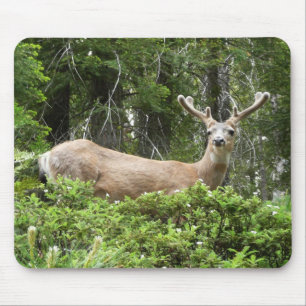 Tapis De Souris Yosemite Deer Nature Photographie