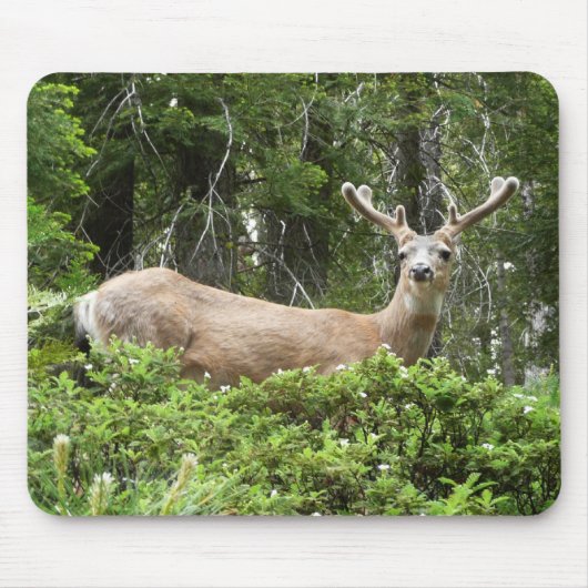 Tapis De Souris Yosemite Deer Nature Photographie (Devant)