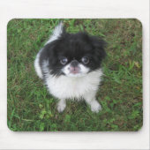 Tapis De Souris Yoshi (Devant)