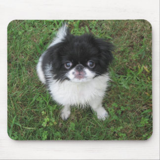 Tapis De Souris Yoshi